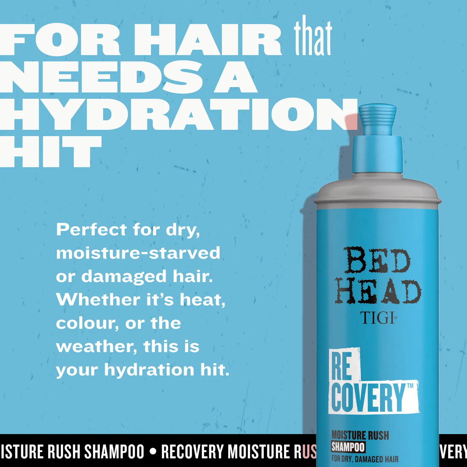 Tigi Bed Head Recovery shampoo idratante capelli secchi