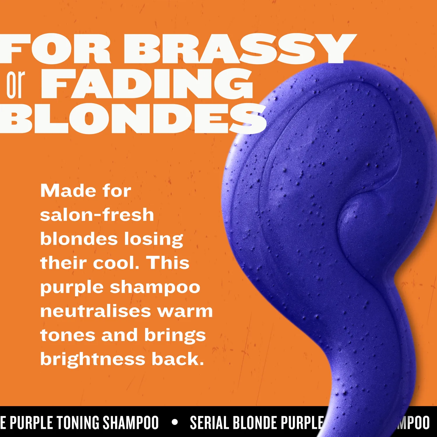 Tigi Bed Head Serial Blonde Shampoo Viola Biondi Freddi